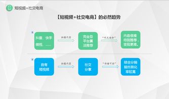 莞云短视频电商研究 上线4个月的短视频电商平台纷来再拿创新奖